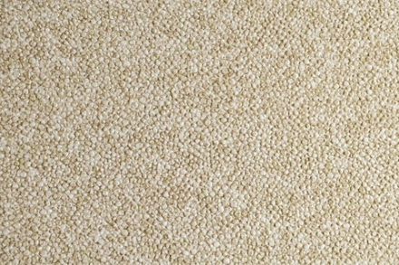 Микровелюр Bubble 2 Tofu