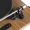 Wharfedale Diamond 12.1 + Phaze Audio Diana + Premiera A1