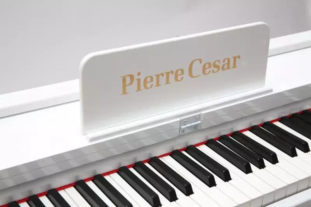 Pierre Cesar DP-12-PH