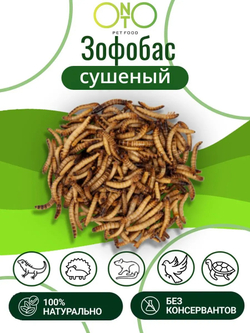 Зофобас сушёный ONTO (лакомство), 25 г