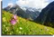 Постер "Austrian Alps"