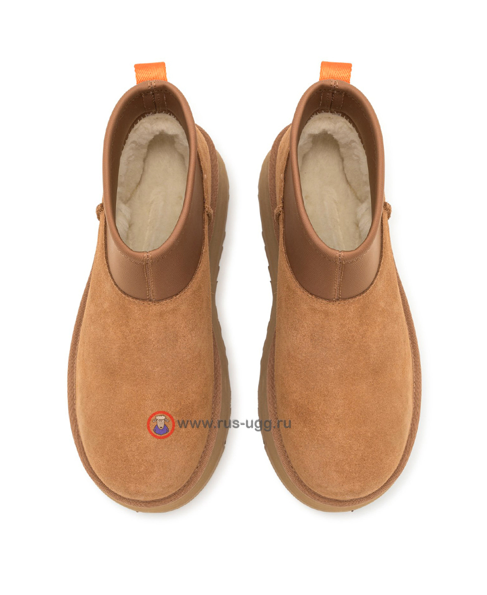 MINI DIPPER Chestnut