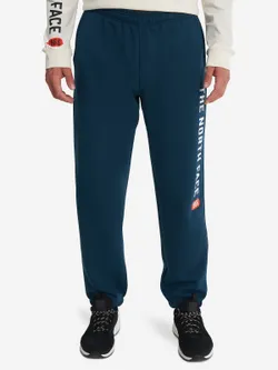 Брюки спортивные мужские THE NORTH FACE M PANT VARSITY GRAPHIC