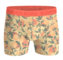Мужские спортивные боксеры Bj_rn Borg Cotton Stretch 3P - multicolor