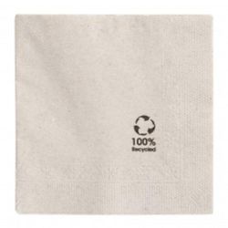 Салфетка бумажная ECO двухслойная, 20*20 см, 100 шт, Garcia de PouИспания