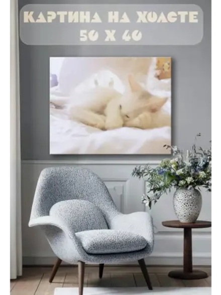 Картина на стену 40 X 50 Белый кот