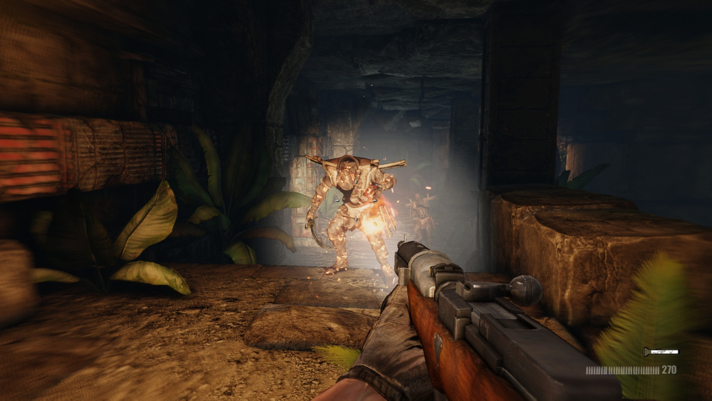 Deadfall Adventures (для ПК, цифровой код доступа)