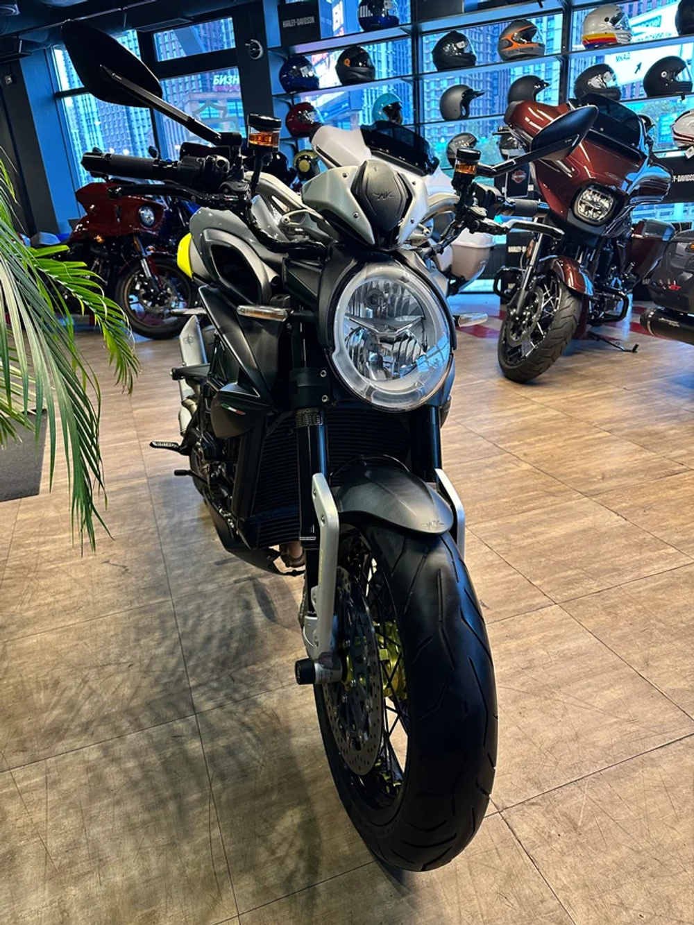 MV Agusta Dragster 800, 2019