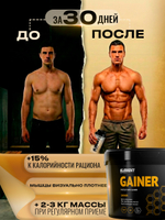 Гейнер для набора массы ELEMENT GAINER , Ваниль , 1000 г