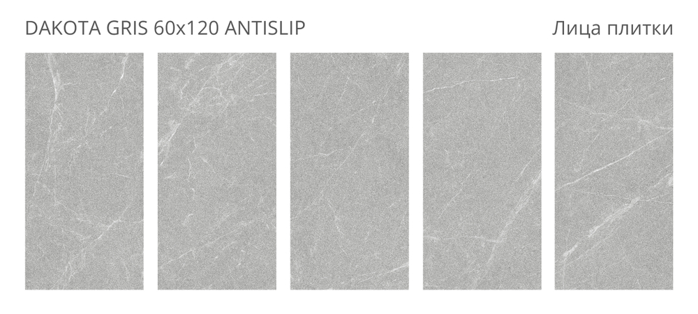 Staro Antislip DAKOTA GRIS 60x120