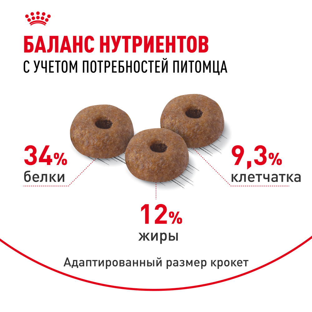 Royal Canin Appetite Control Care Аппетайт контрол кэа Корм сухой для взрослых кошек контроль выпрашивания корма 400г