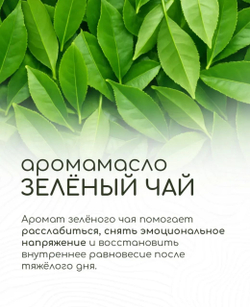 Эфирное масло «Зеленый чай», 10 мл, «Богатство Аромата»