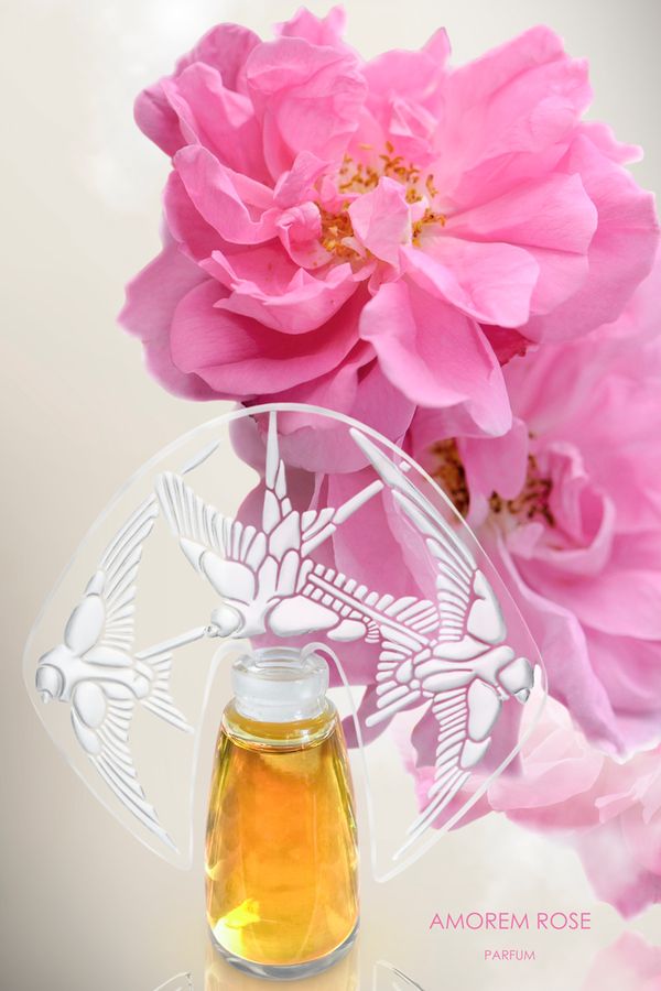 Shalini Amorem Rose