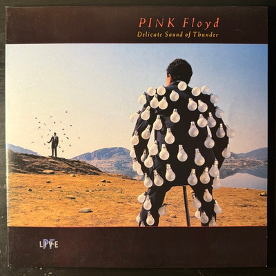 Pink Floyd - Delicate Sound Of Thunder 2LP (Европа 1988г.)