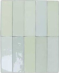 DNA Tiles Safi Mint 5.2x16