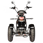 Электроскутер Skyboard Chopper 4000 Harrow (Elbrus) Trike