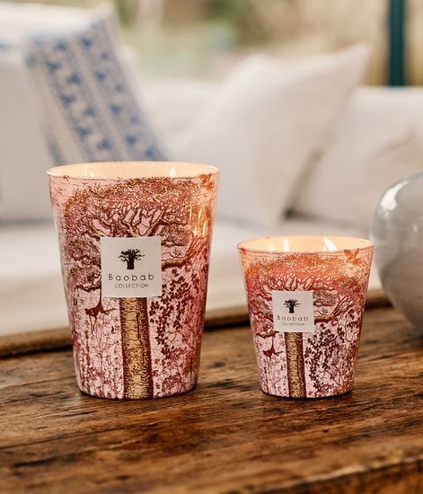 Woroba, свеча MAX 35 Sacred Trees collection, Baobab Collection
