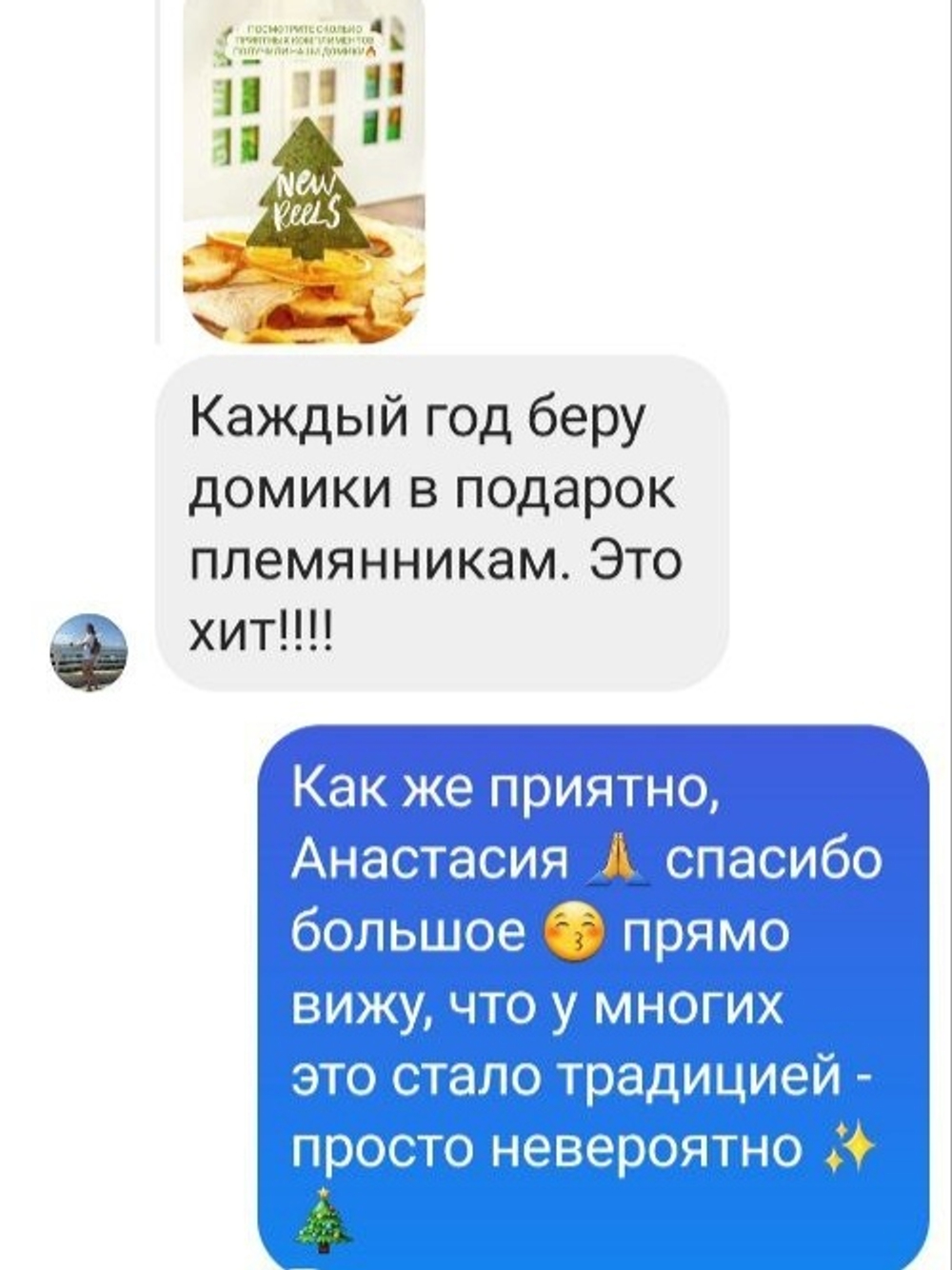 Пастилазки новогодние МИНИ с подарком на выбор от eco-apple.ru