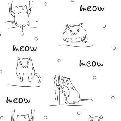 смешные коты на белом фоне