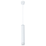 Точечный подвесной светильник Arte Lamp ALTAIS A6110SP-2WH, LED