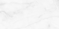 Staro Palacio Antisky Grey light Polished 60x120