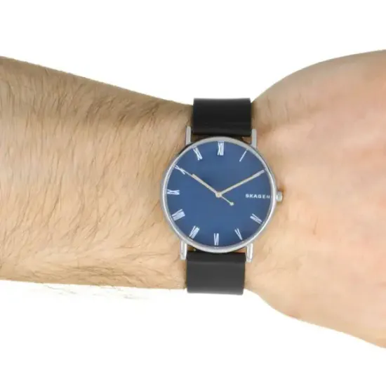 Мужские часы Skagen SKW6434