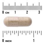 Swanson Vitamins, Full Spectrum®, расторопша, 500 мг, 100 веганских капсул
