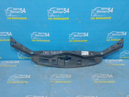 Накладка на рамку радиатора Honda ACCORD 2002-2008