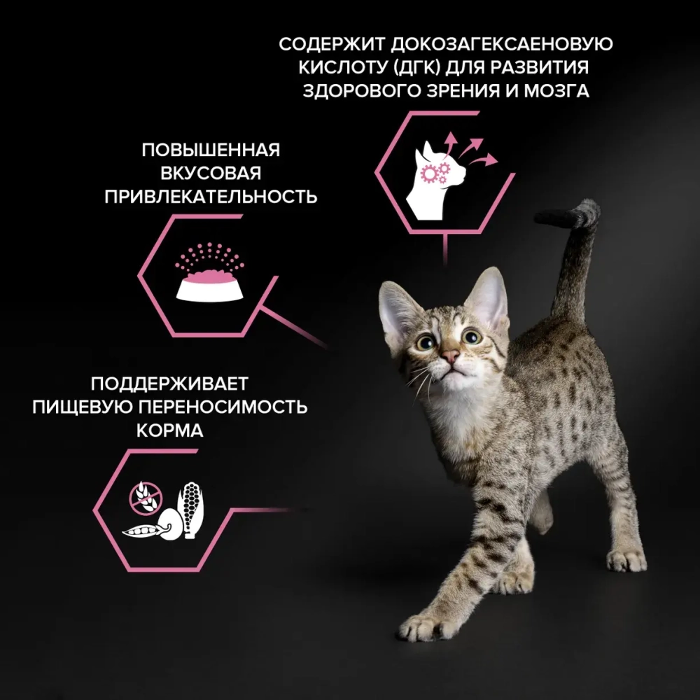 Корм с индейкой для котят для здоровья пищеварения Pro Plan РАЗВЕСНОЙ