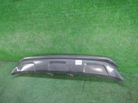 DSCN2896.JPG