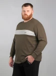 Лонгсливы