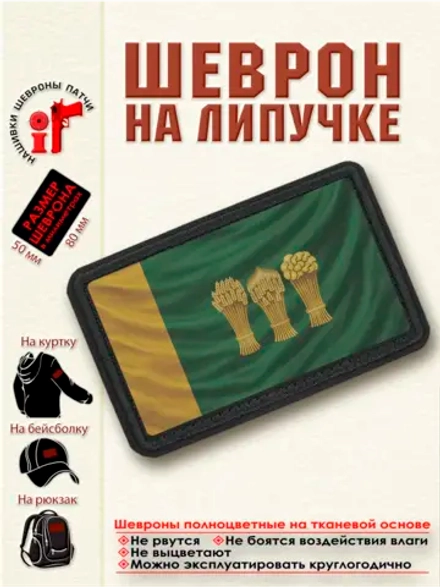 Шеврон "Флаг и Герб Пензы" dtf