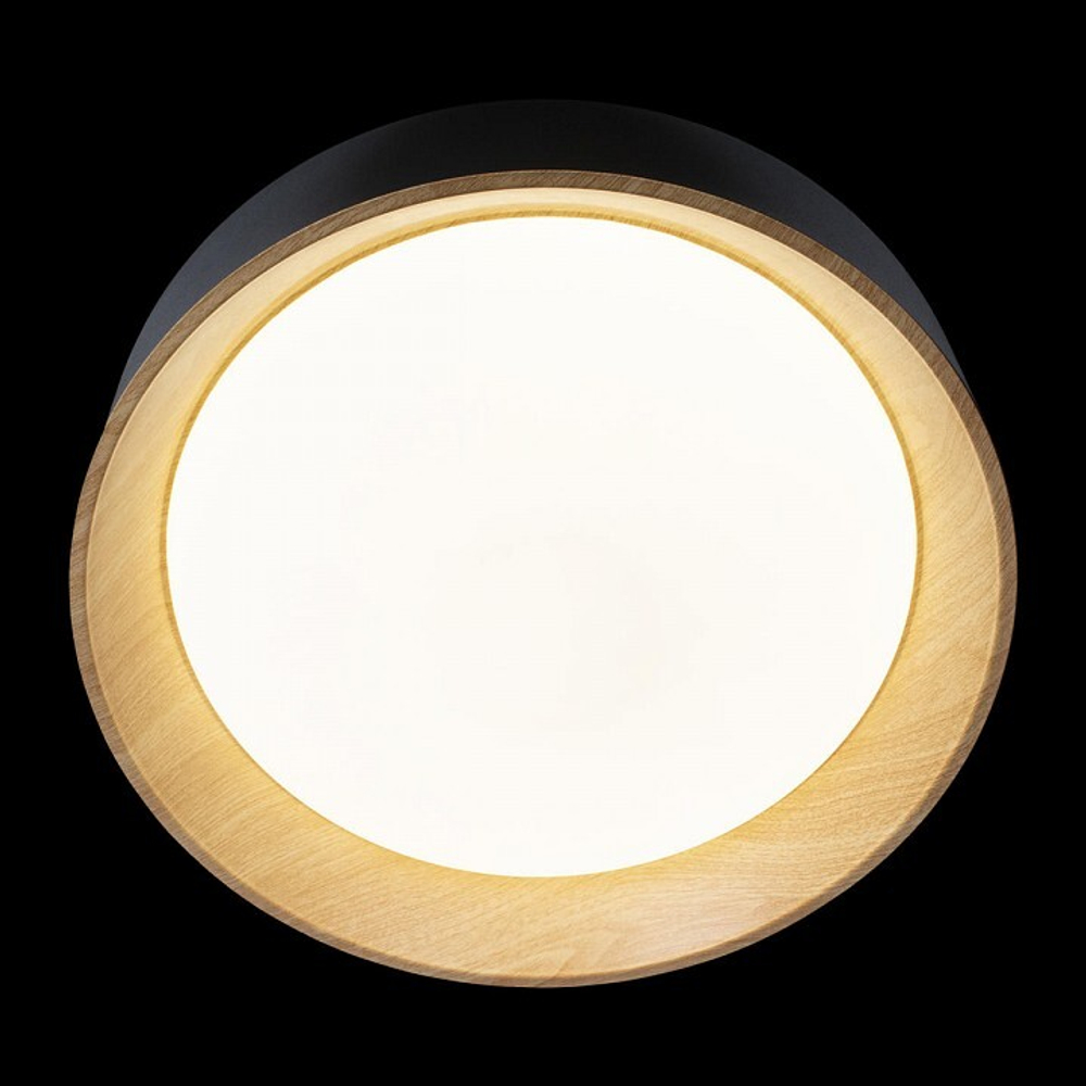 Накладной светильник Loft it Coin 10202 Black