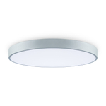 Потолочный светодиодный светильник Freya Sprida FR6129CL-L80GR