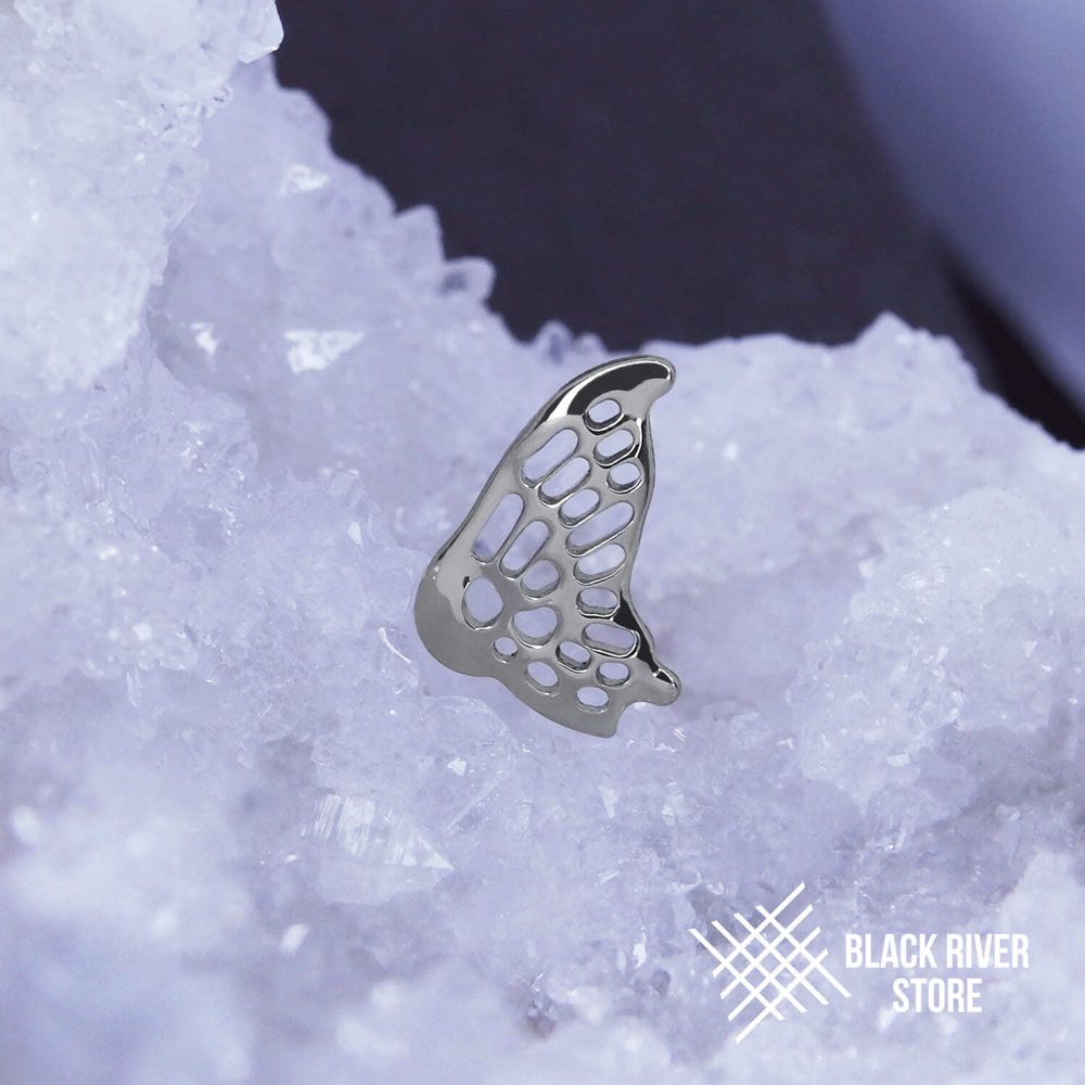 Butterfly Wing