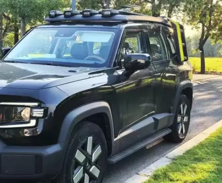 Платформа на крышу с лестницей и люстрой для Changan Deepal G318 2024+ чанган боковая лестница