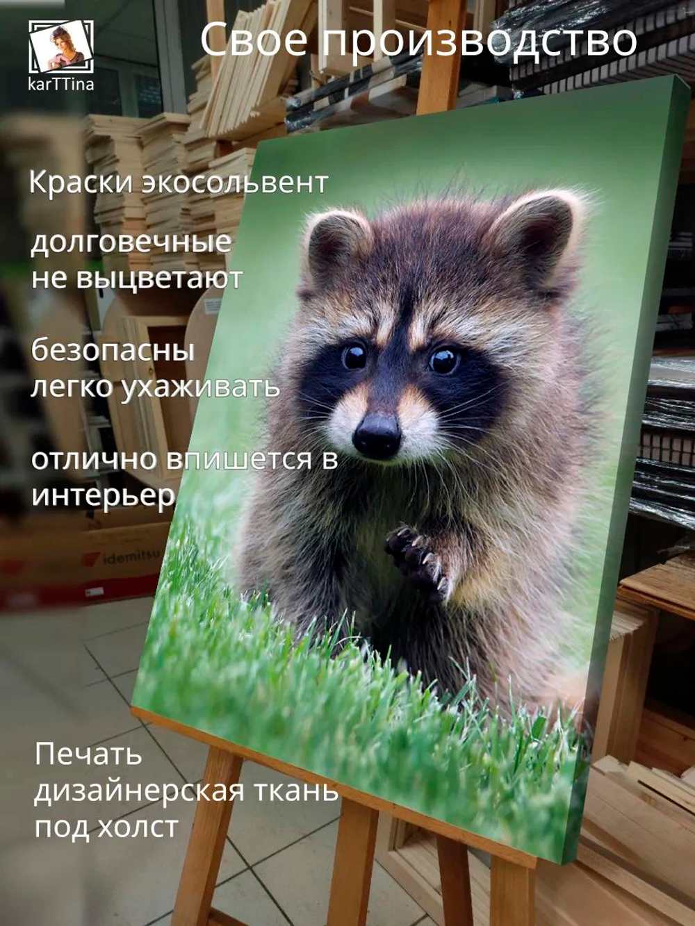 Картина "Милый енотик", на стену 50х70см 1шт., на деревянном подрамнике