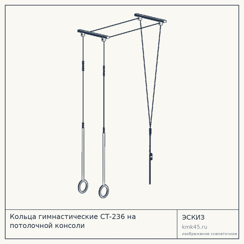 Кольца гимнастические СТ-236 на потолочной консоли — от 13 000 ₽