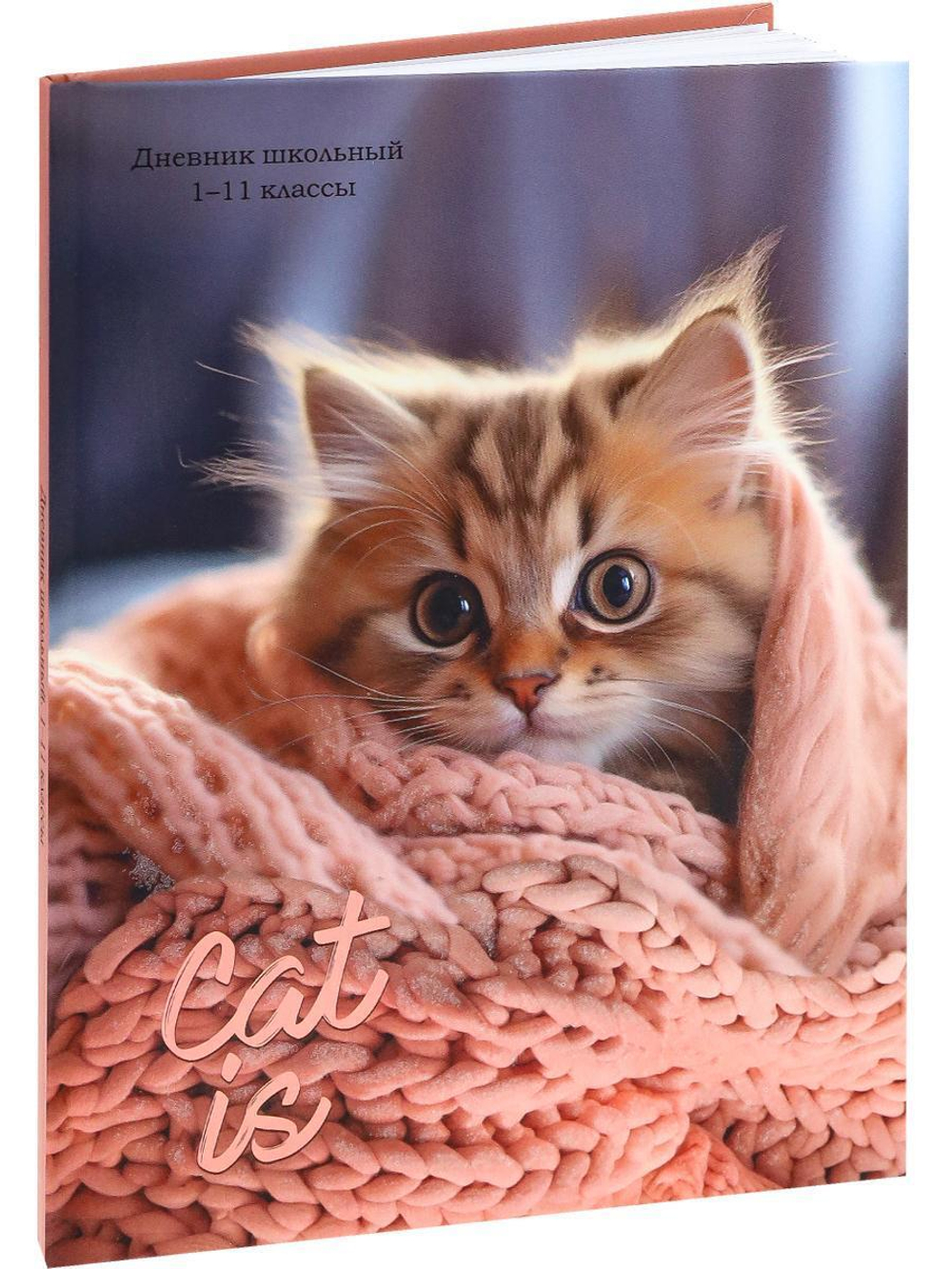 Дневник школьный 40л. "Котёнок в пледе" (Проф-Пресс)