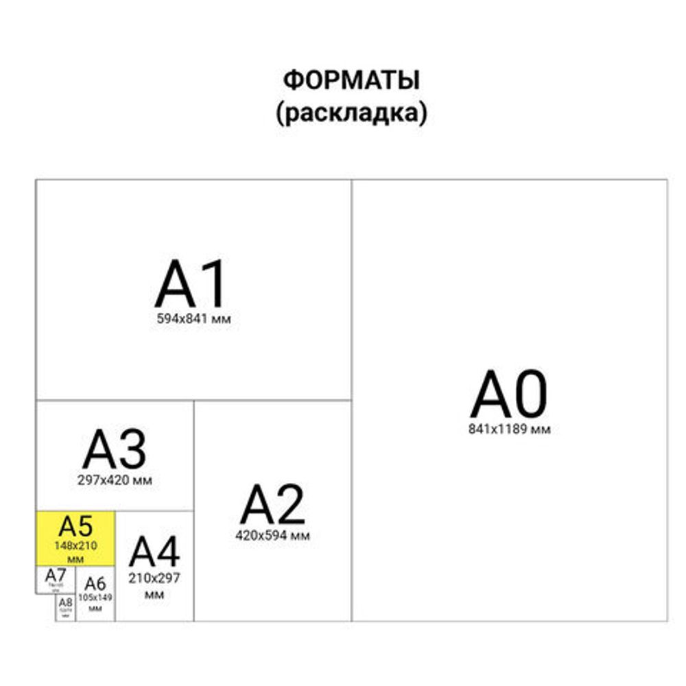 Тетрадь ЗЕЛЁНАЯ обложка 12 л., крупная клетка с полями, офсет, "ПЗБМ", 19957, 50шт