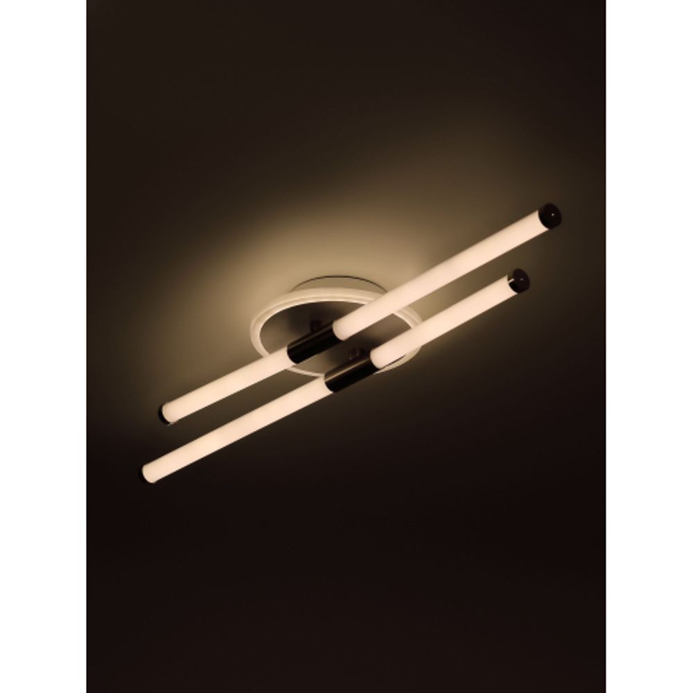 Светильник потолочный светодиодный Rivoli 6196-702 Morgan LED 35 Вт 3000-6000К с пультом | Rivoli