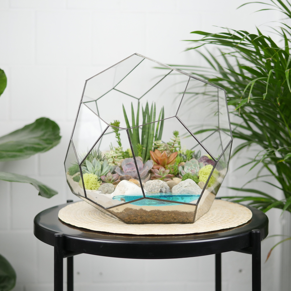 Готовый флорариум с суккулентами Марс с озером