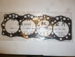 Прокладка головки блока цилиндров Ricardo R4105ZLDS1; TDK 56,66 4LT/Cylinder head gasket