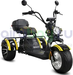 Электротрицикл SIBERTON PRO TRIKE 3950W (60V/35Ah) фото №3