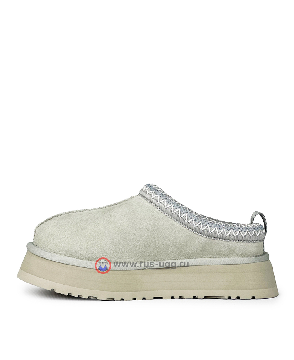 TAZZ Grey/Violet