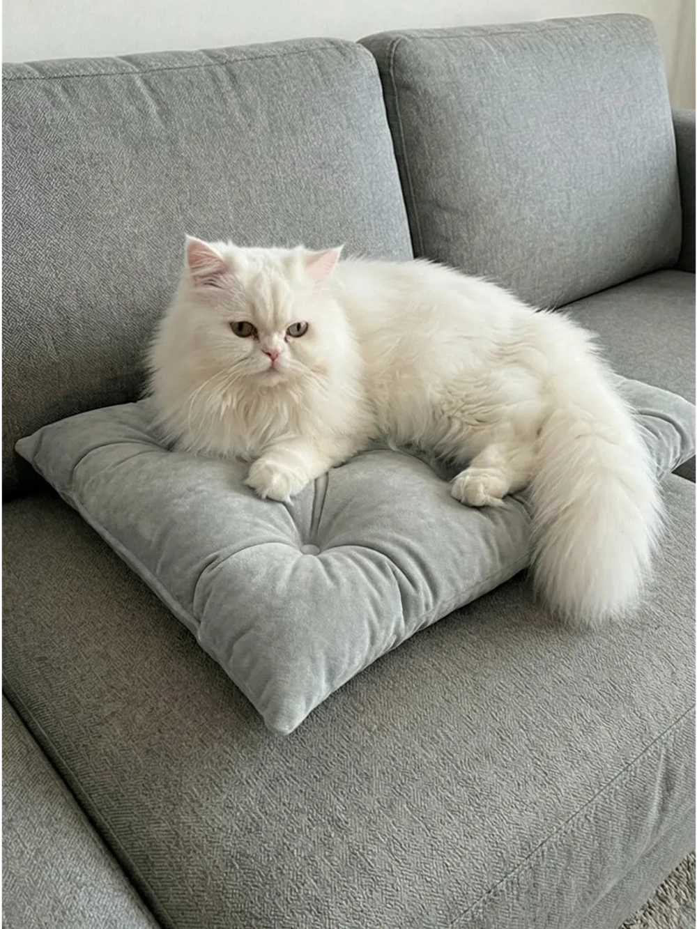 Лежанка для кошек и собак
