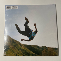 Виниловая пластинка LP Tyler The Creator Wolf (Европейский Союз 2023)