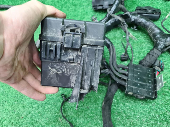 Проводка моторного отсека Tank 500 (2021-н.в.)