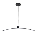 Подвесной светодиодный светильник Arte Lamp ARNO A3362SP-25BK