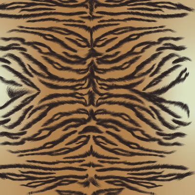 Animal Print with tiger stripes